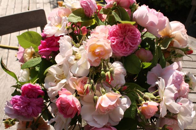 Bouquets de Juin : le plus beau mois des roses à Marandon. – Ahah, le  Jardin de Marandon – Paysage, nature – François Arnal